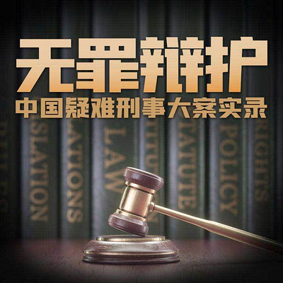 无罪辩护：中国疑难刑事大案实录