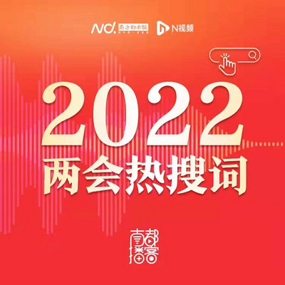 2022两会热搜词