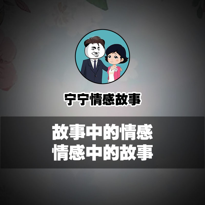 宁宁情感故事