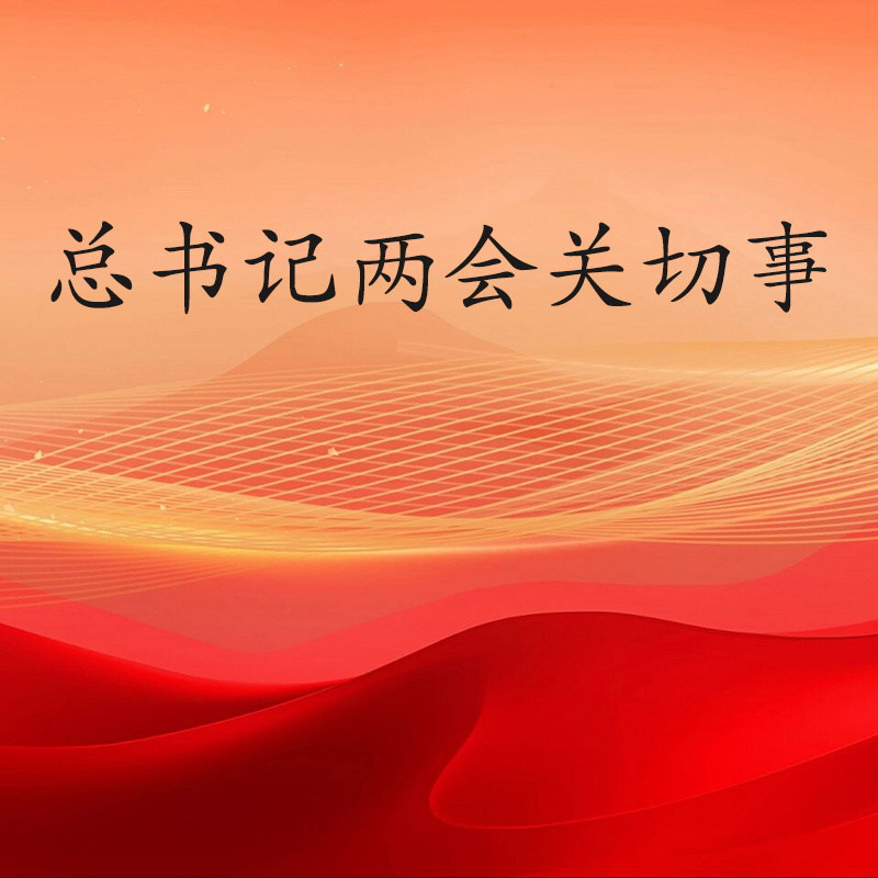 总书记两会关切事