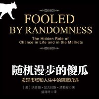 随机漫步的傻瓜