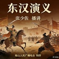 张少佐：东汉演义