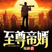 至尊帝婿