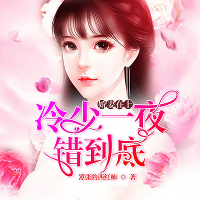 娇妻在上：冷少一夜错到底