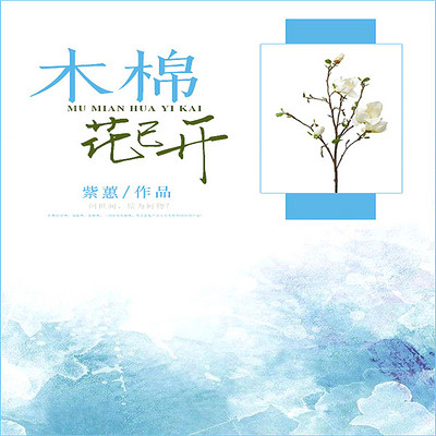 木棉花已开
