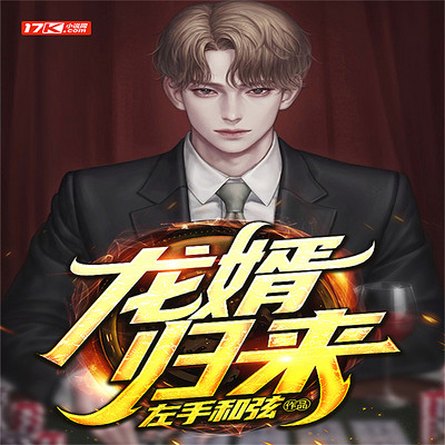 龙婿归来