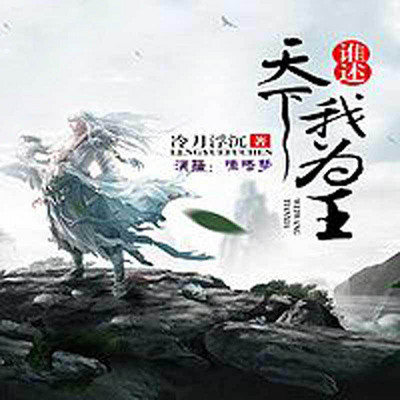 谁述天下我为王 谁述天下我为王