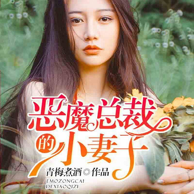 恶魔总裁的小妻子