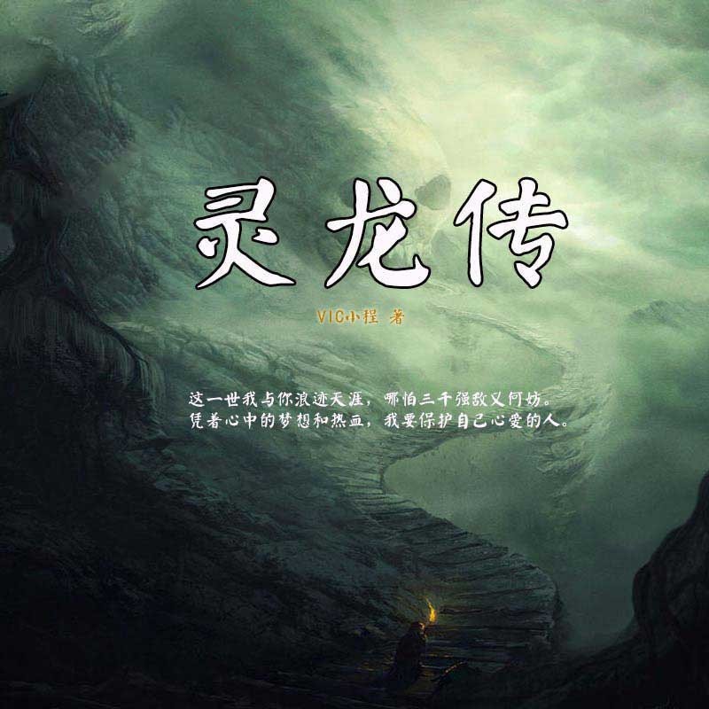 灵龙传