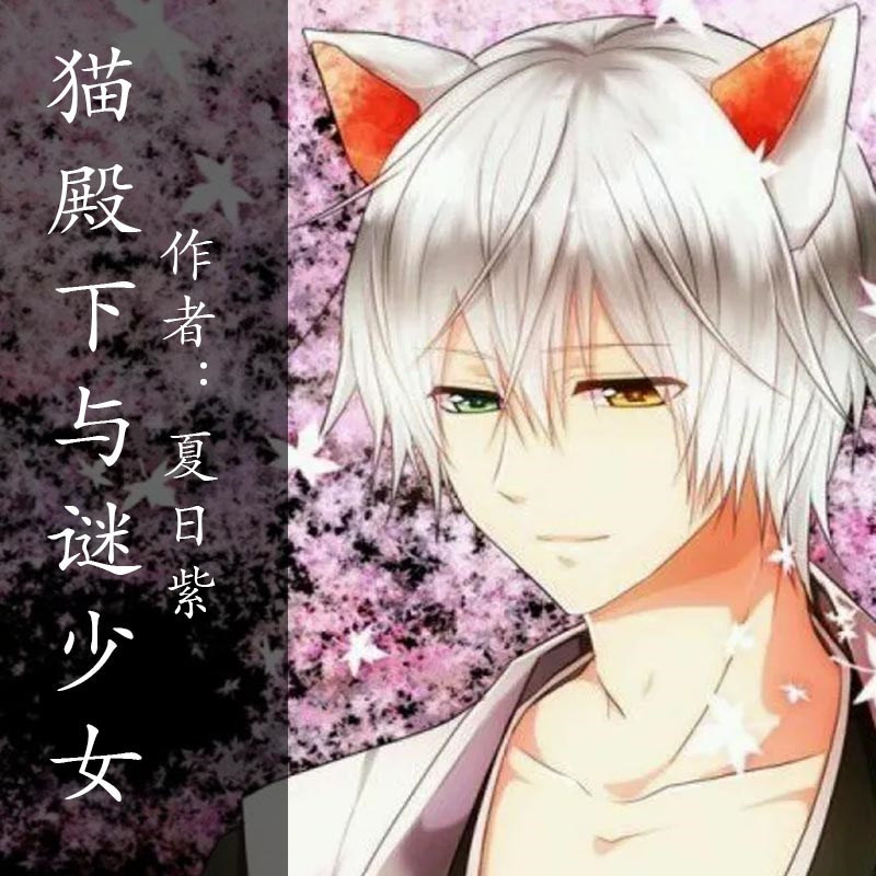 猫殿下与谜少女