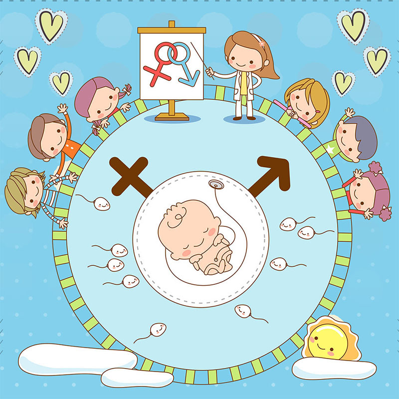 备孕篇|备孕夫妻应该如何科学备孕?