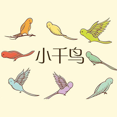小千鸟 小千鸟