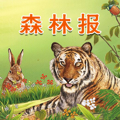森林报 森林报