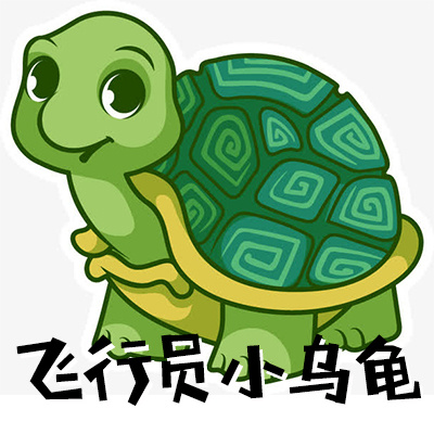飞行员小乌龟