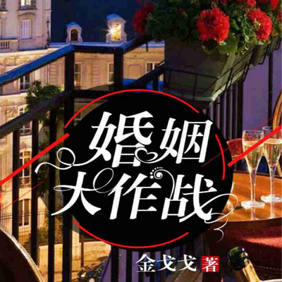 婚姻大作战 婚姻大作战