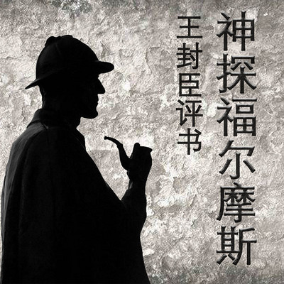 王封臣评书:神探福尔摩斯 王封臣评书:神探福尔摩斯