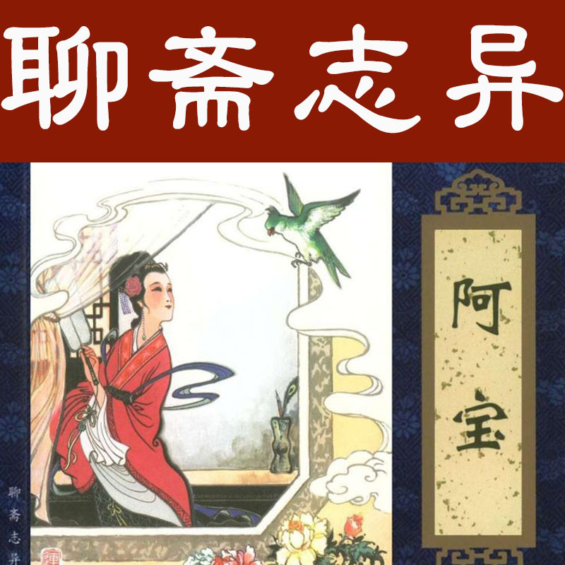 王传林评书：聊斋志异之阿宝
