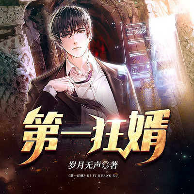 第一狂婿 第一狂婿