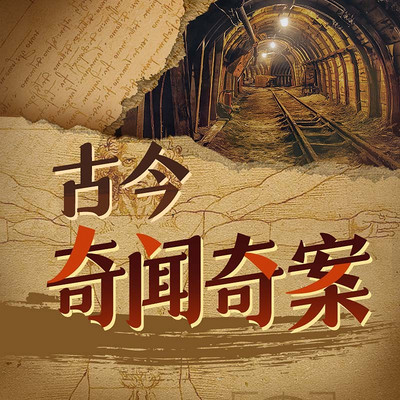刘学讲奇闻奇案 刘学讲奇闻奇案