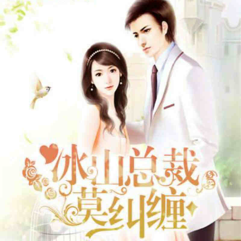 冰山总裁莫纠缠（全本）