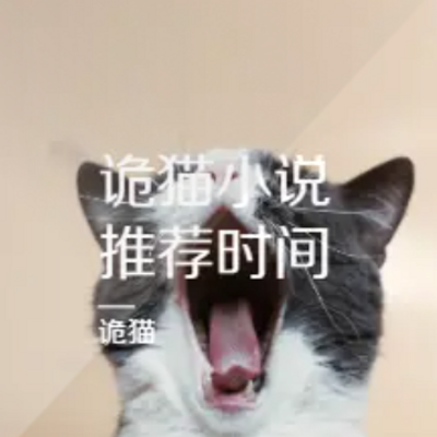 诡猫小说推荐时间