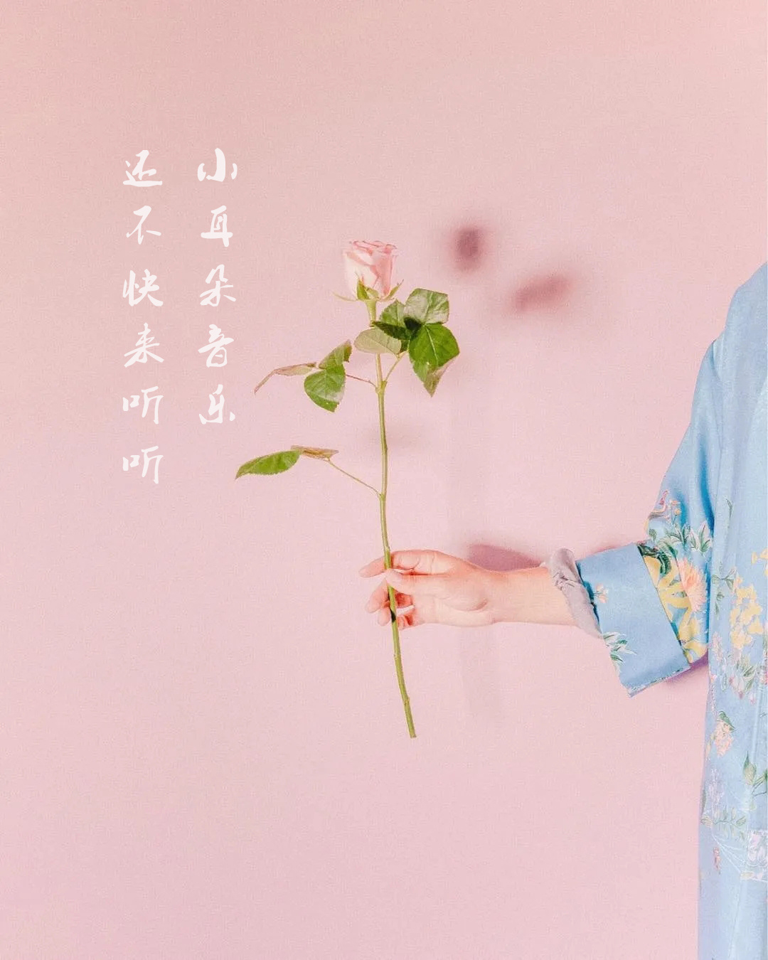 小耳朵音乐
