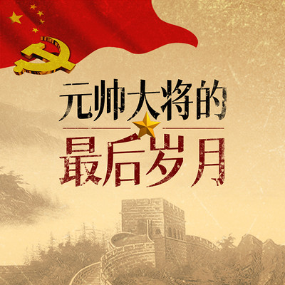 元帅大将的最后岁月 元帅大将的最后岁月
