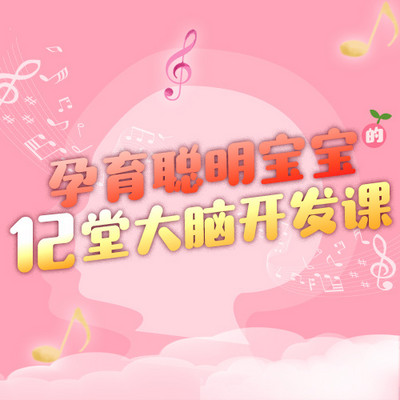 孕育聪明宝宝的12堂大脑开发课 孕育聪明宝宝的12堂大脑开发课