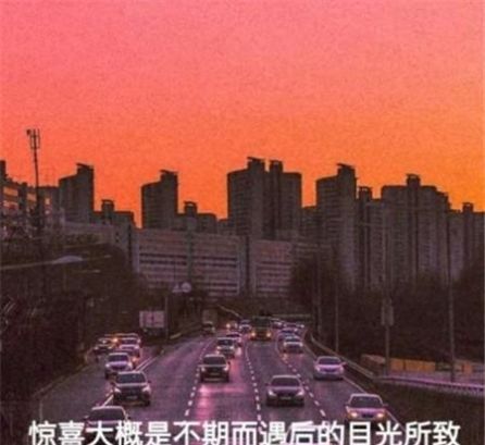 荔枝的情感语录