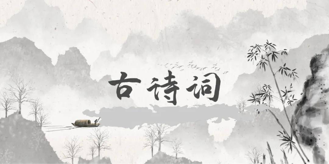 每日一句诗
