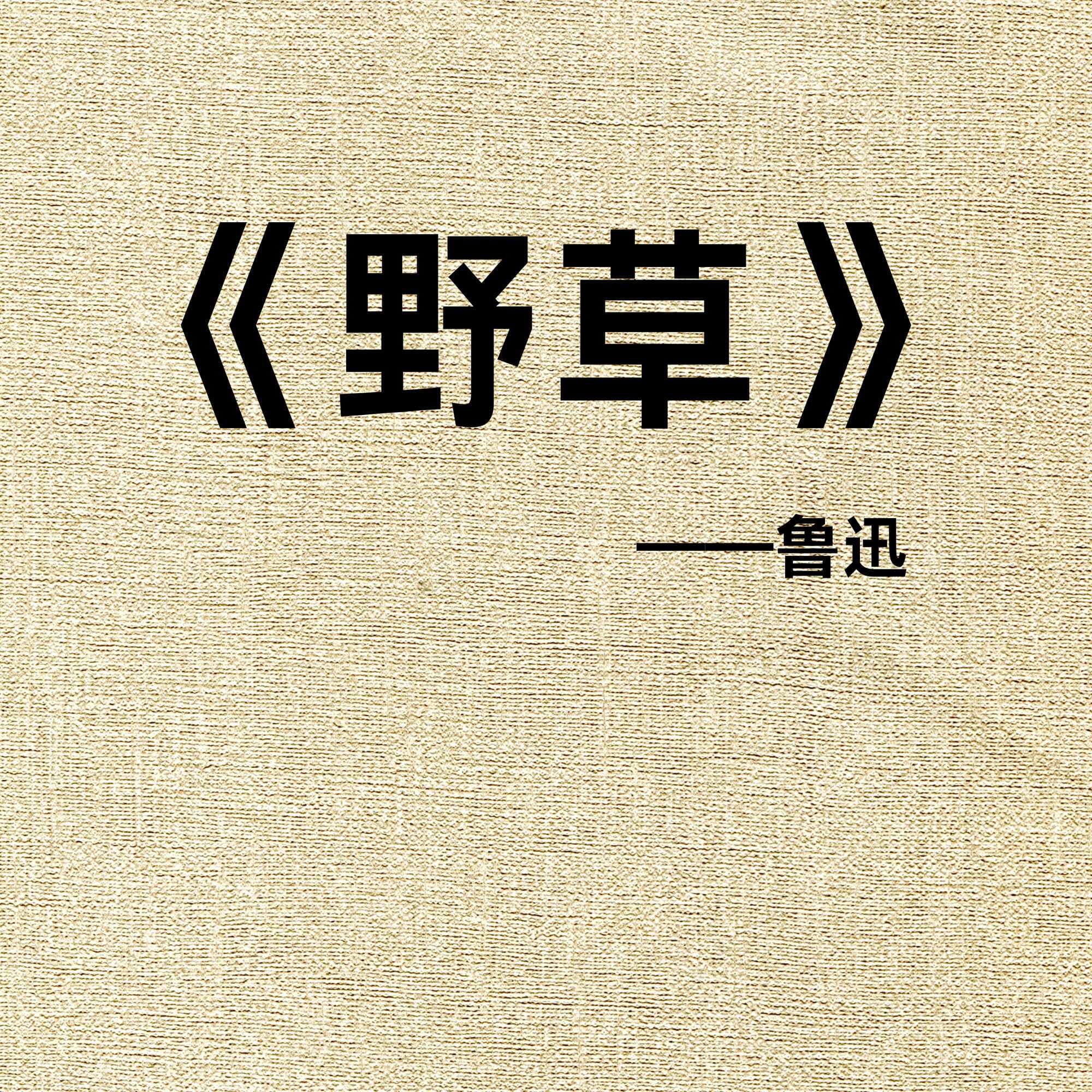 晓明听书丨《野草》向死而生的诗性独白