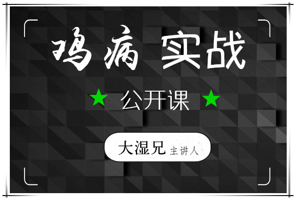 鸡病实战公开课