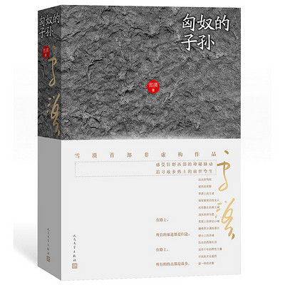 匈奴的子孙 匈奴的子孙