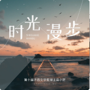 夜雨星辰：心灵之旅