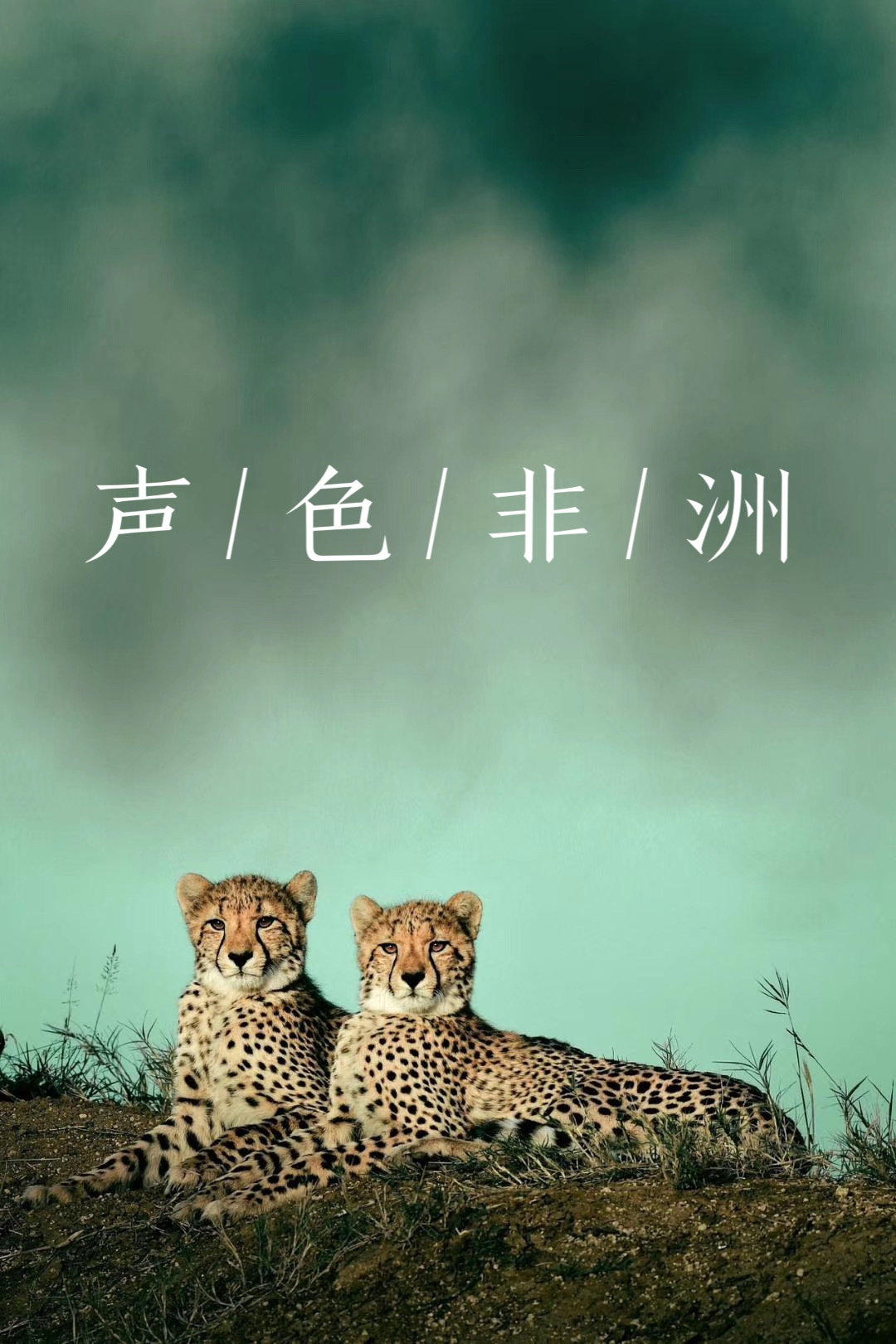 声色非洲