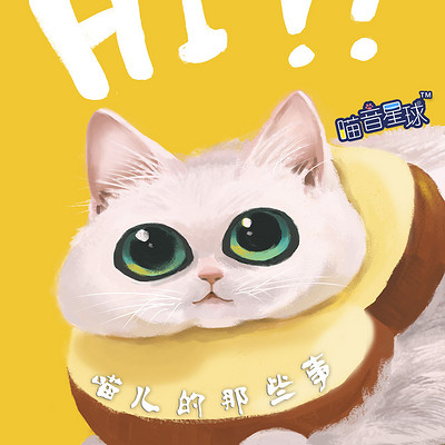 喵儿的那些事~