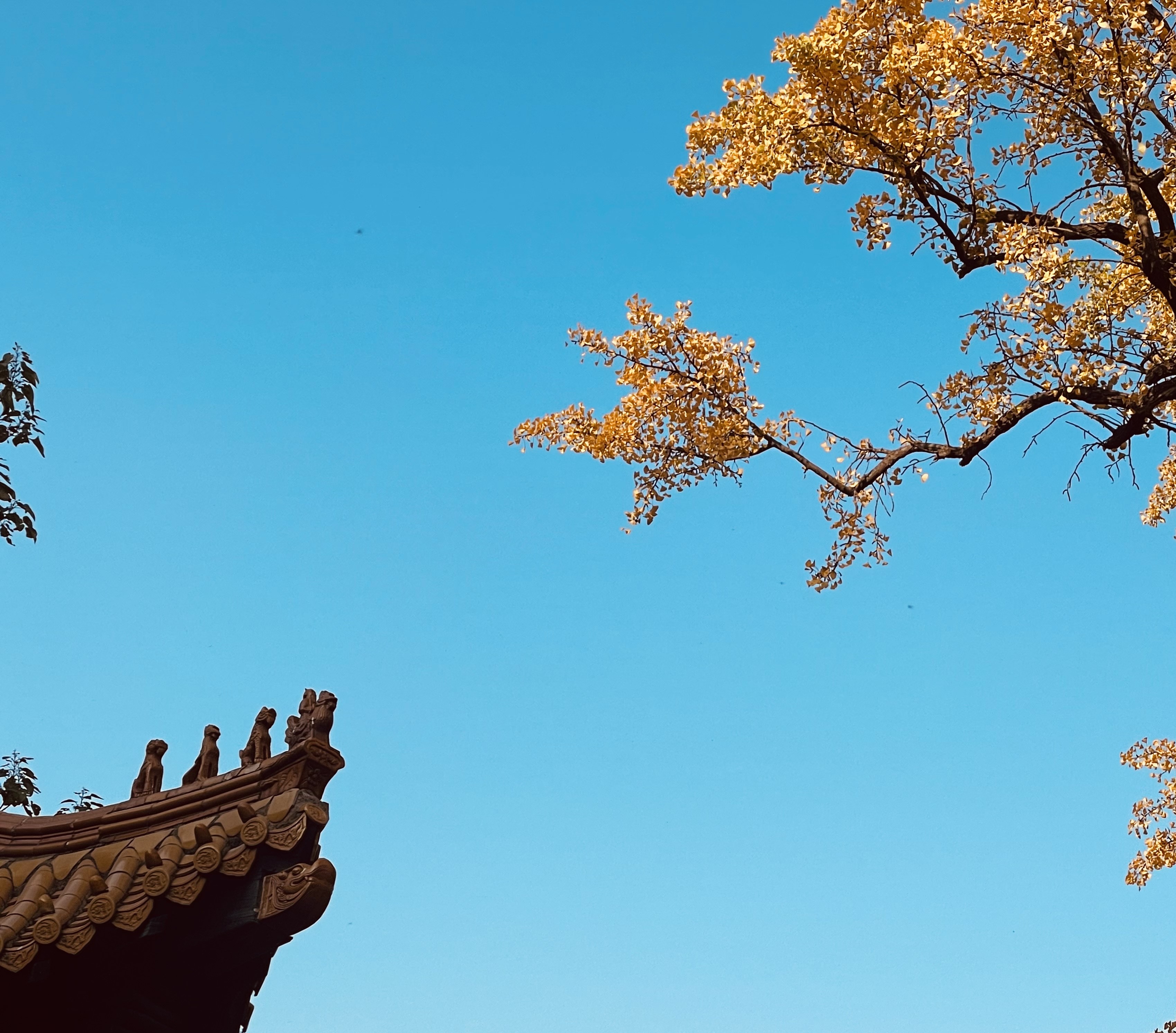 帛书本《道德经》精讲