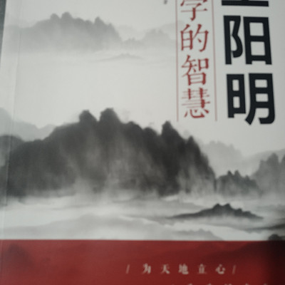 王阳明心学的智慧 王阳明心学的智慧