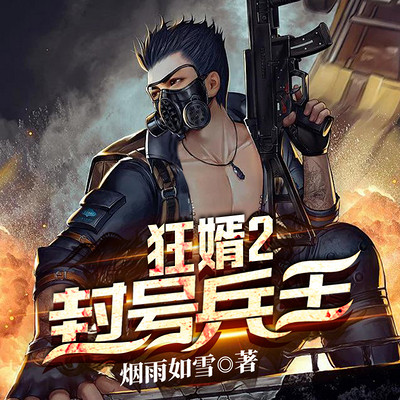 狂婿2:封号兵王 狂婿2:封号兵王