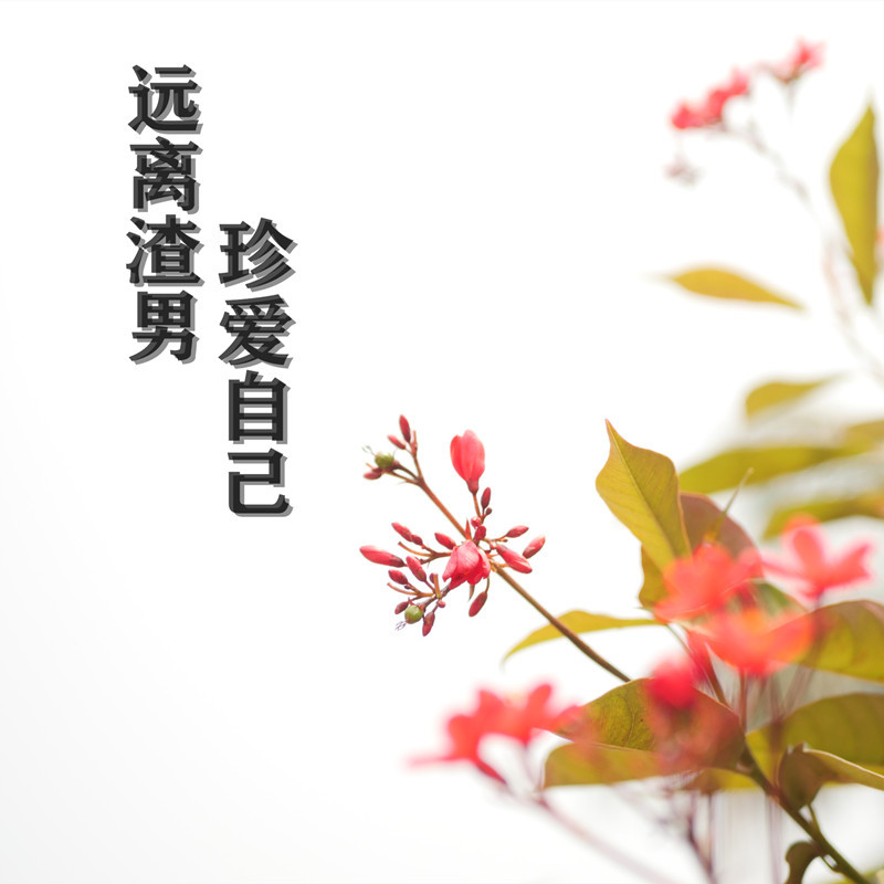 民国渣男系列