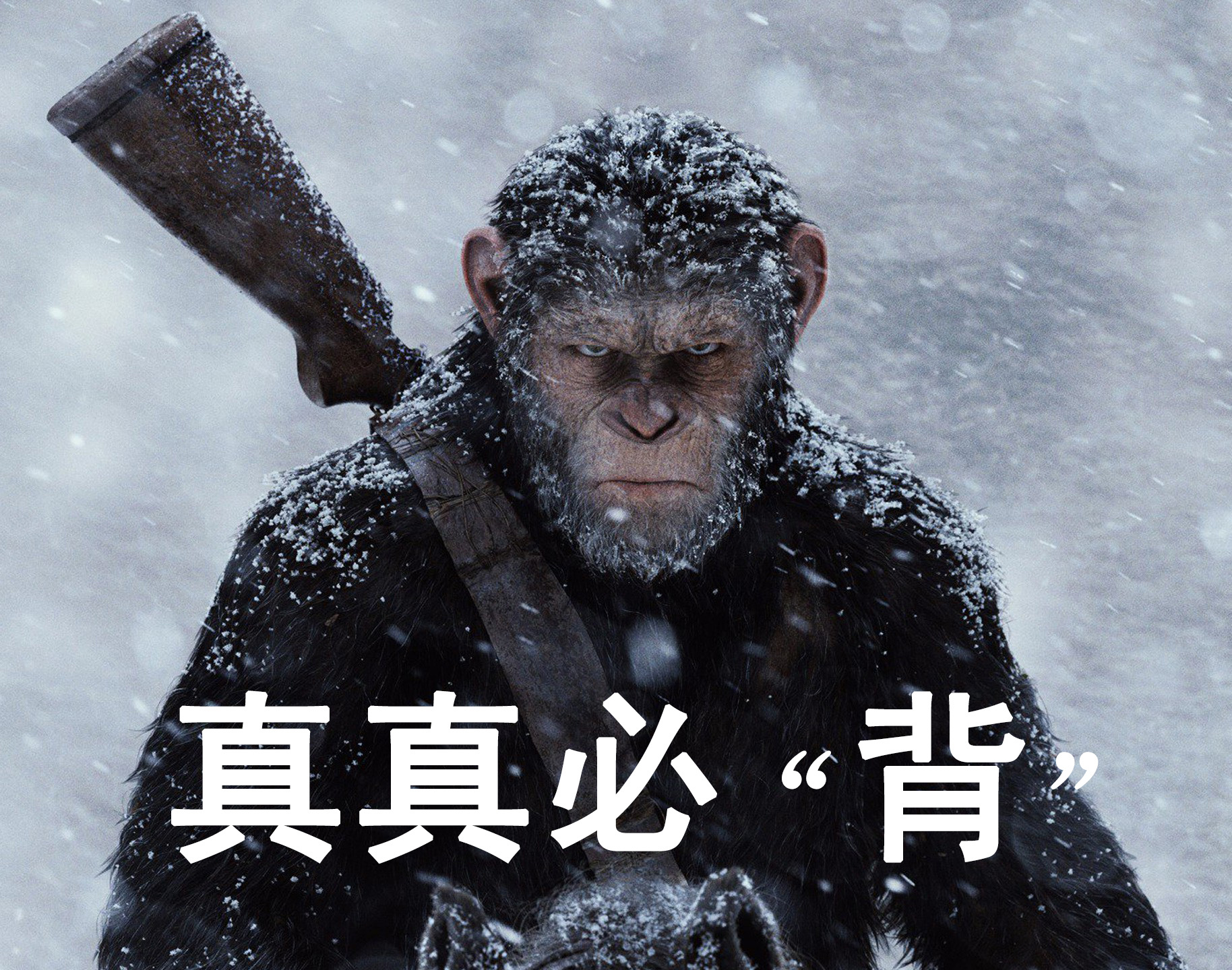 日常必背基础知识-提效篇