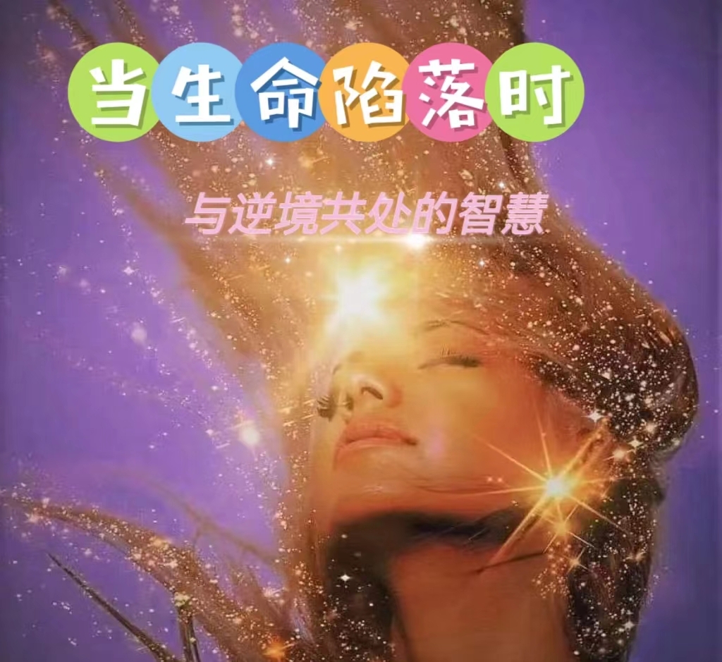 当生命陷落时—与逆境共处的智慧