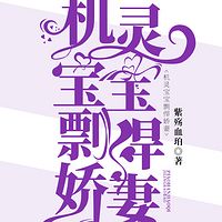 机灵宝宝剽悍娇妻