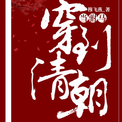 穿到清朝当驸马 穿到清朝当驸马