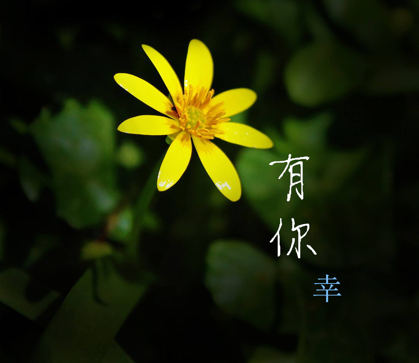 《有你》
