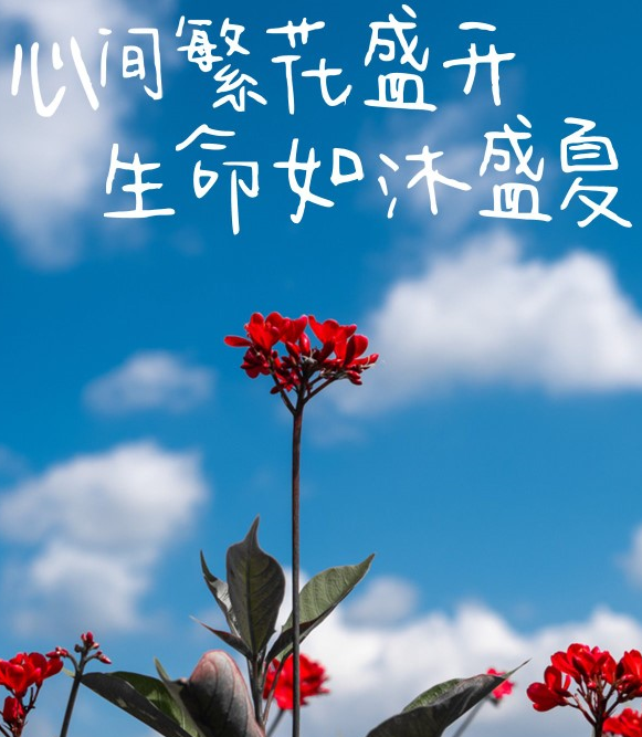 第2季 各类催眠音频制作