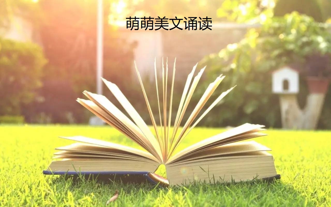萌萌的美文诵读