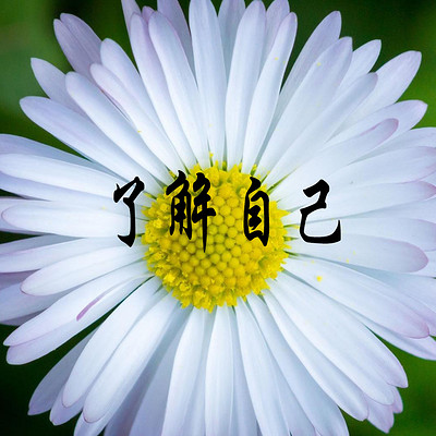 了解自己