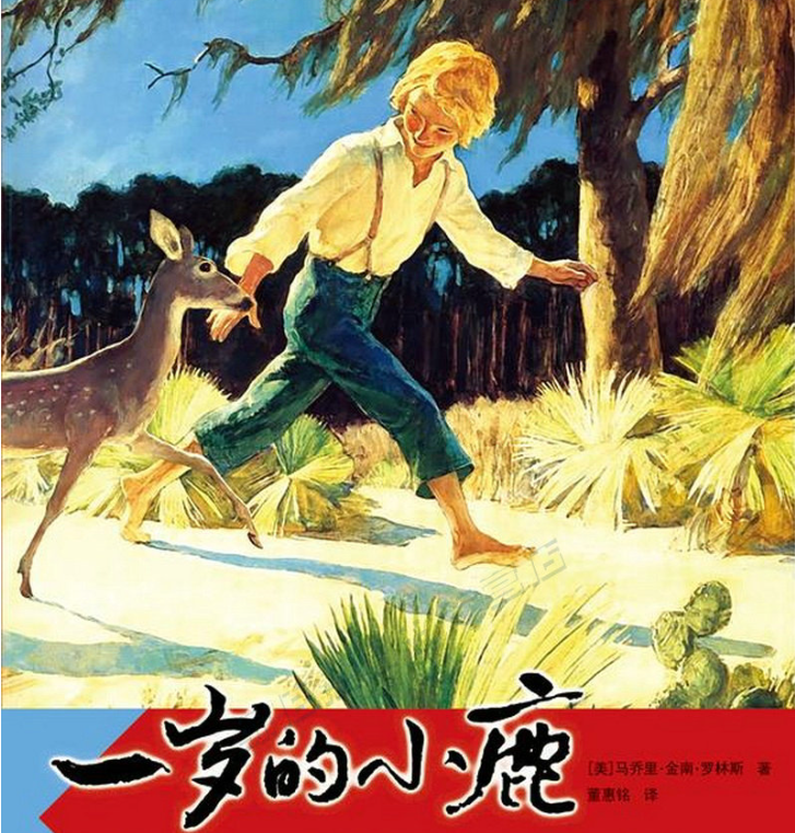 《一岁的小鹿》