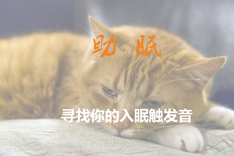 助眠|白噪音|纯音乐|寻找你的入眠触发音